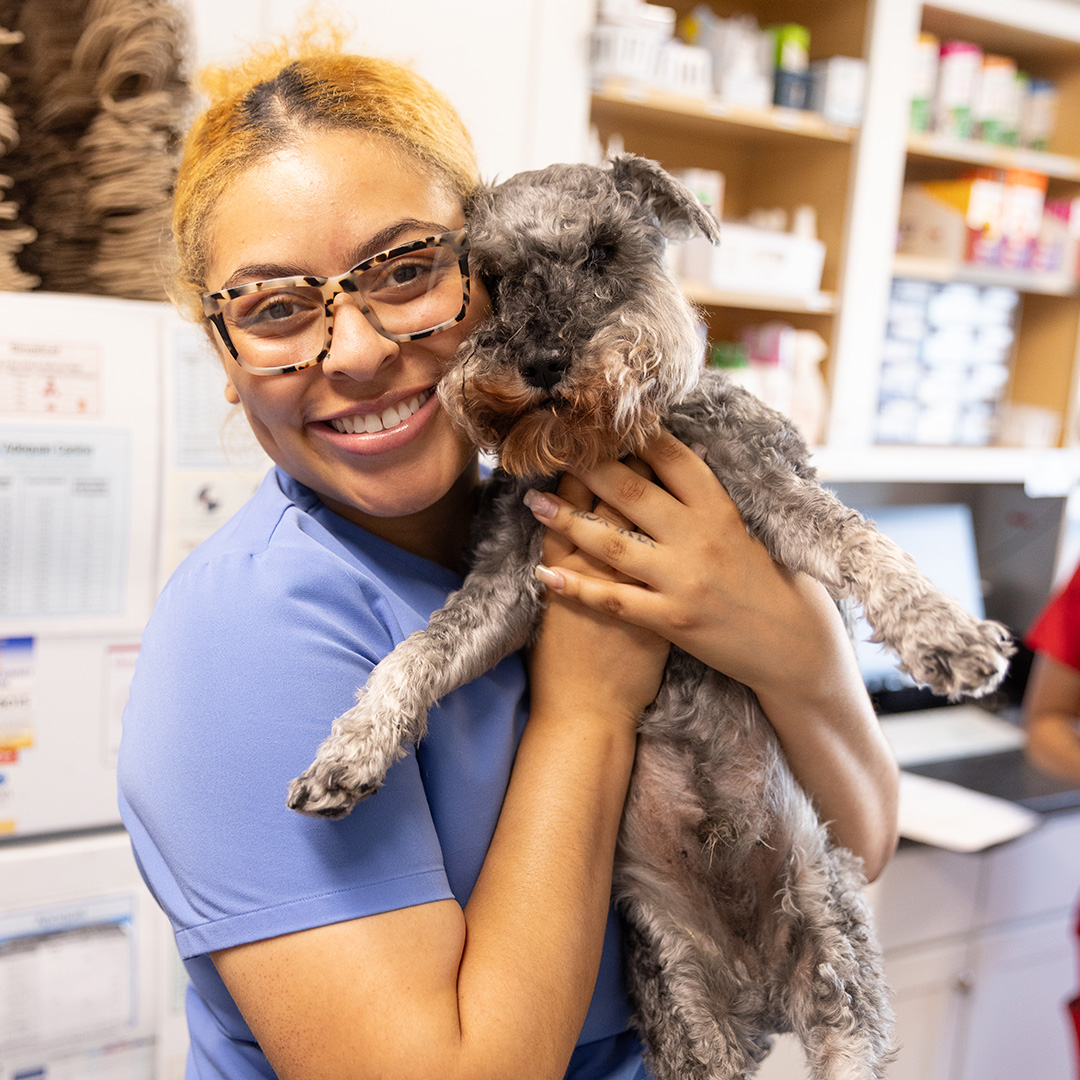 vet-holding-dog dog son the beach