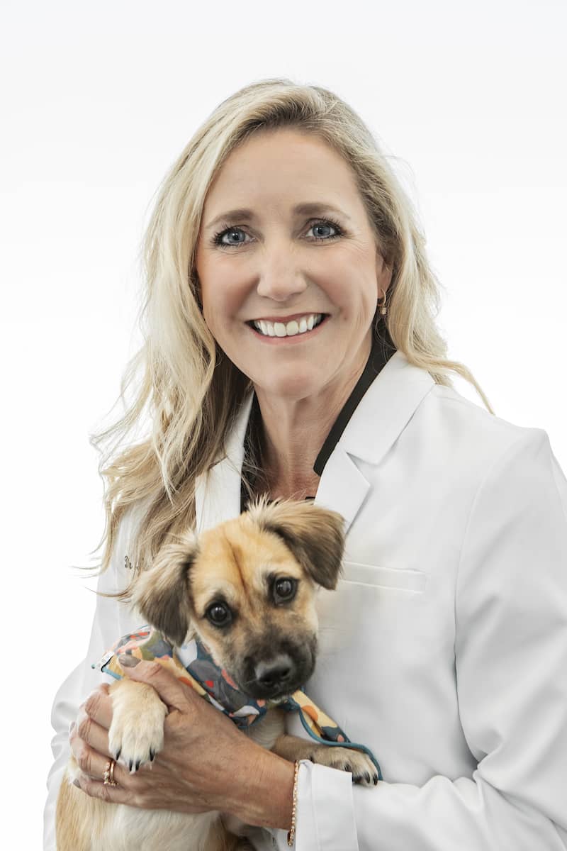 Dr. Blair Hollowell, DVM, CCRT Dr. Blair Hollowell, DVM, CCRT