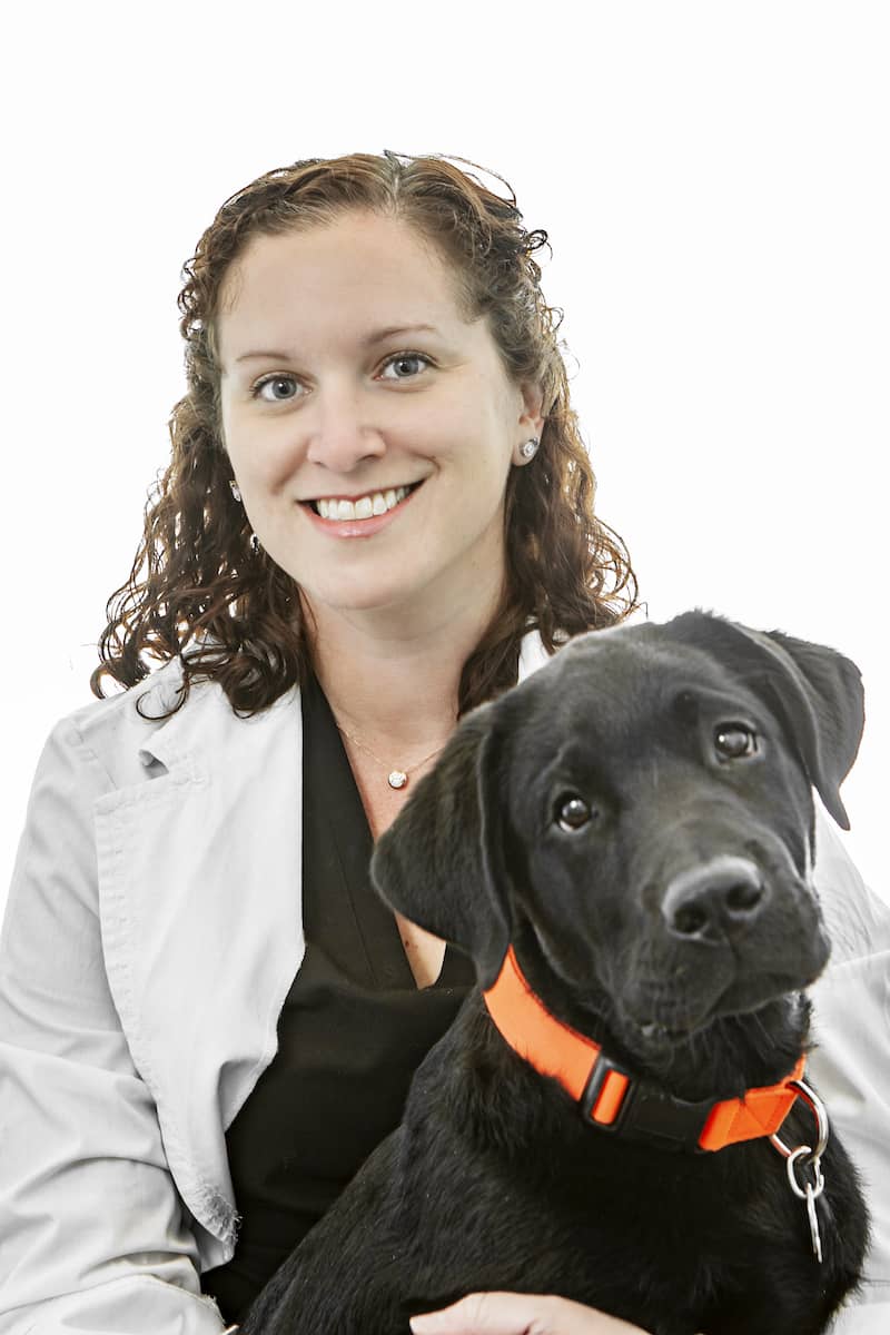 Dr. Jacqui Catalano, DVM, CVAT Dr. Jacqui Catalano, DVM, CVAT