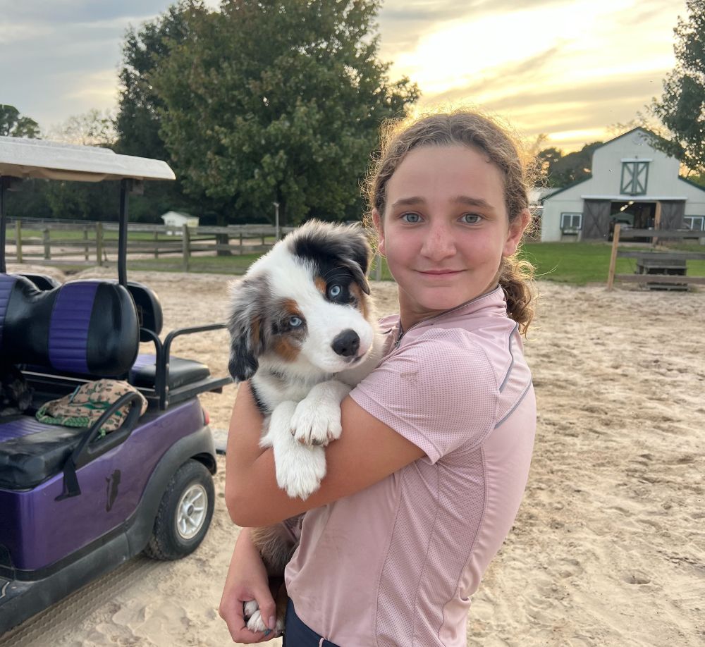 Girl holding a puppy Girl holding a puppy