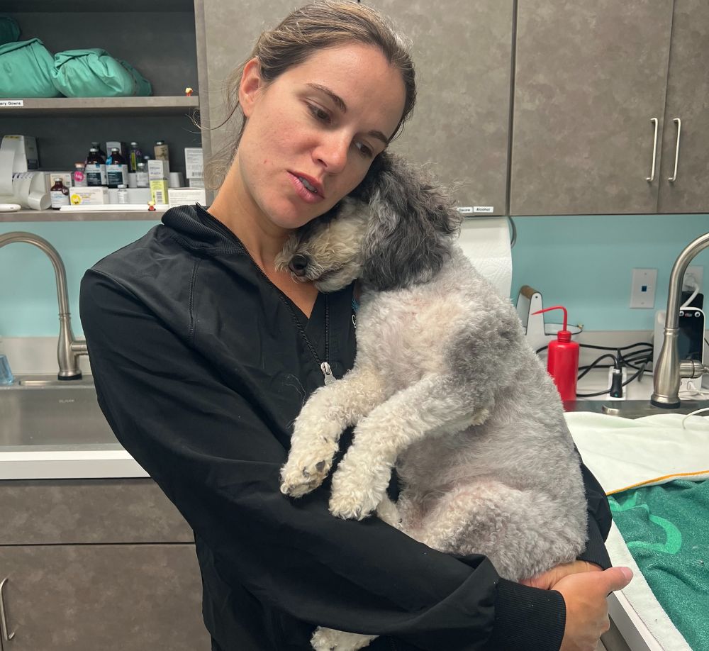 Woman comforting sick small dog Woman comforting sick small dog